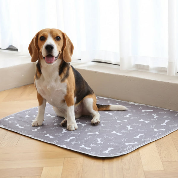PawDry™ Pad | Cleanliness Without Training