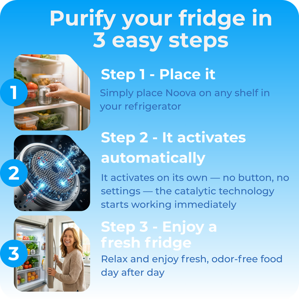PureChill™ – Air Purifier for Refrigerator & Fresh Food Storage