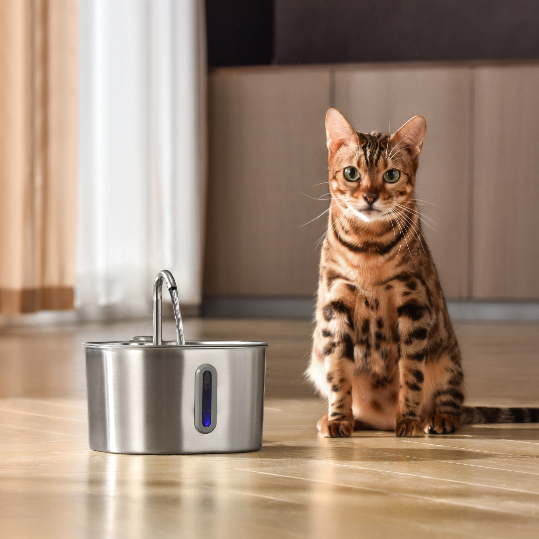 AquaPurr™ Cat Water Fountain for Fresh Water and Comfort