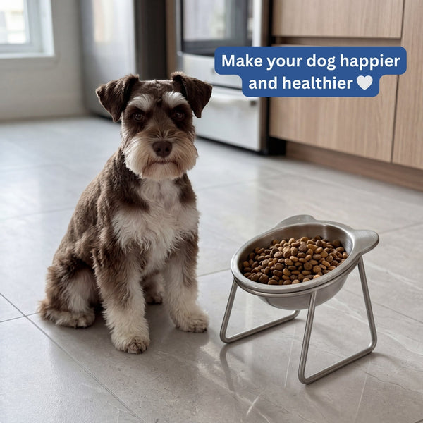 PupComfort™ Raised Feeding Bowl for Healthier Mealtimes