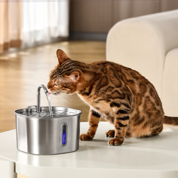 AquaPurr™ Cat Water Fountain for Fresh Water and Comfort