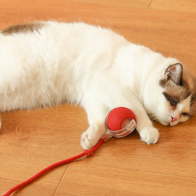 Pet Rolling Ball