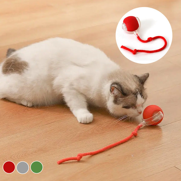 Pet Rolling Ball