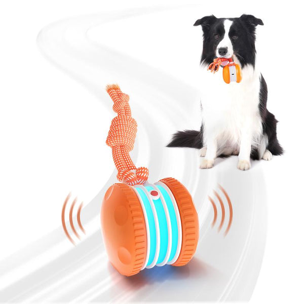 TailChase™ Smart Dog Ball Keeps Dogs Entertained Longer