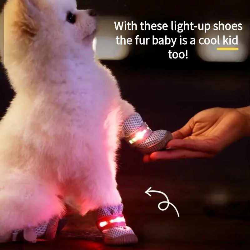 LED Dog Boots™ — Fearless Paw Protection that Lights Every Adventure