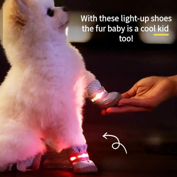 LED Dog Boots™ — Fearless Paw Protection that Lights Every Adventure