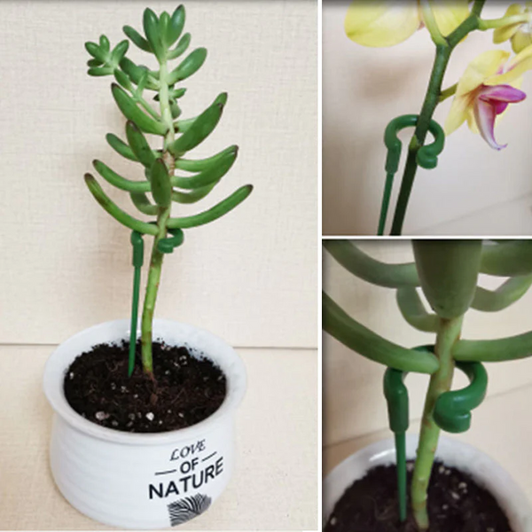 EasyPlant™ Graceful Stem Support