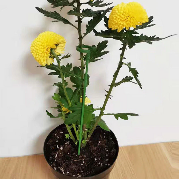 EasyPlant™ Graceful Stem Support