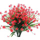  Red Narcissus