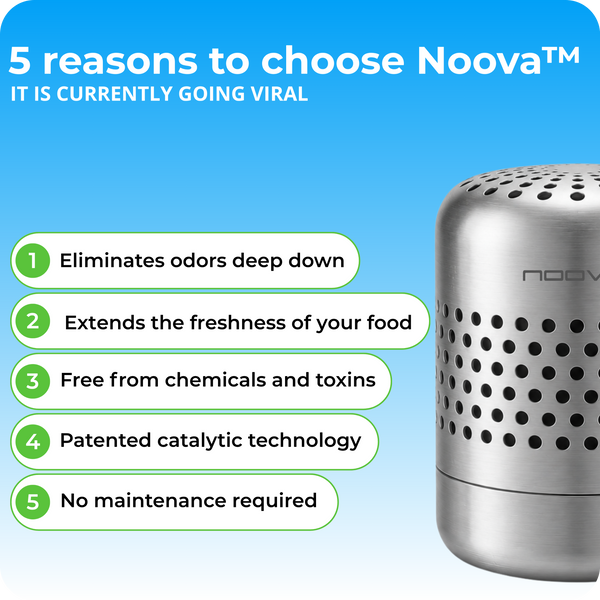 PureChill™ – Air Purifier for Refrigerator & Fresh Food Storage