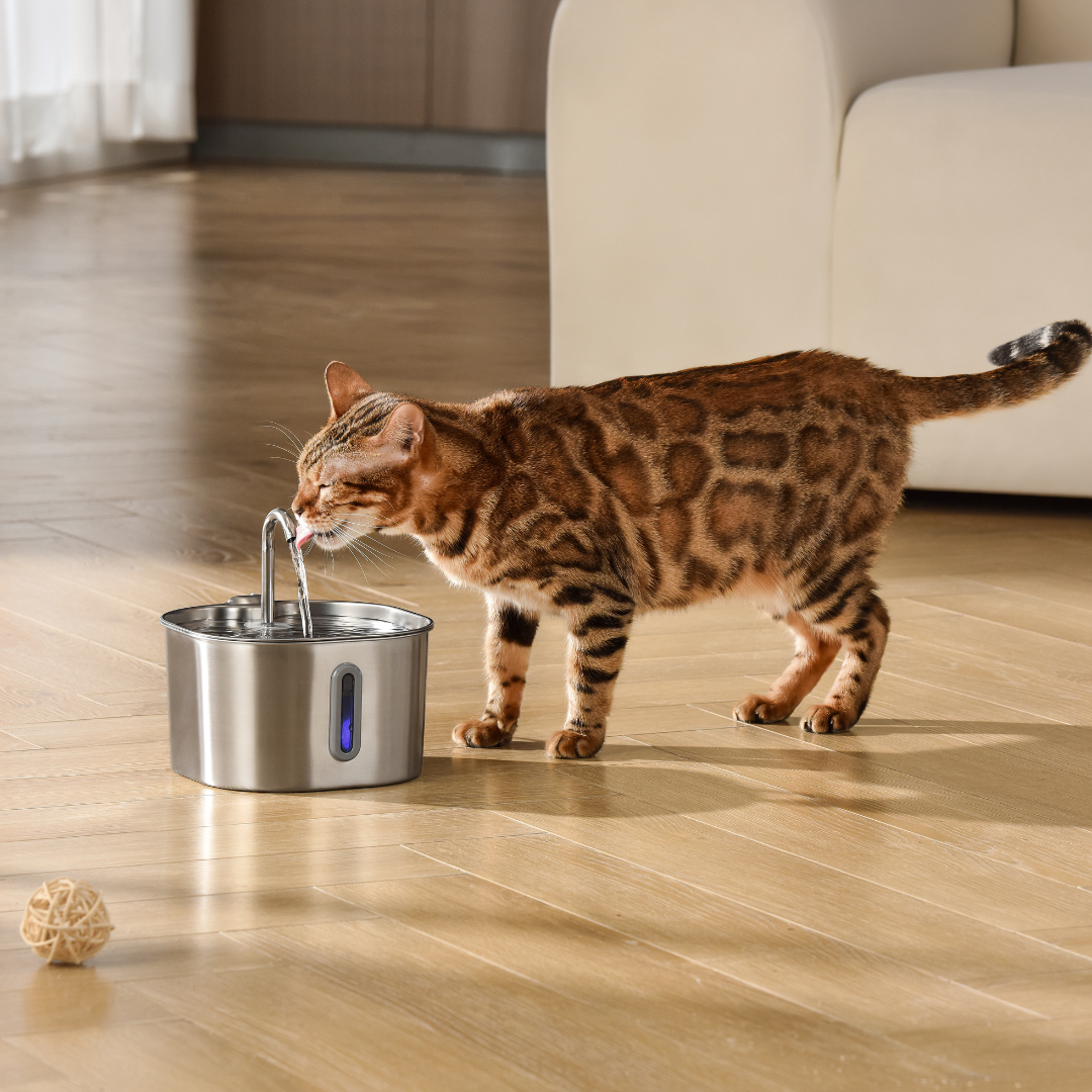 AquaPurr™ Cat Water Fountain for Fresh Water and Comfort