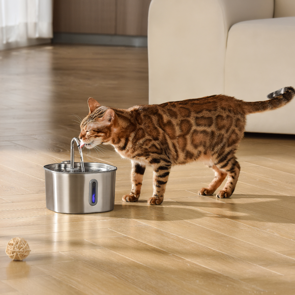 AquaPurr™ Cat Water Fountain for Fresh Water and Comfort