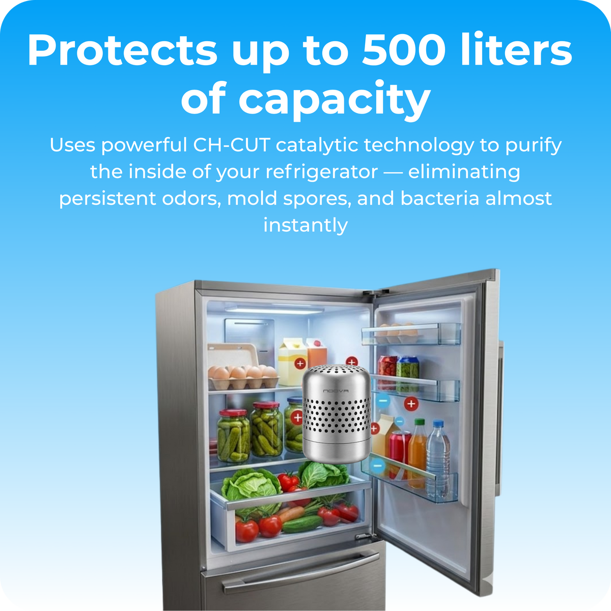 PureChill™ – Air Purifier for Refrigerator & Fresh Food Storage