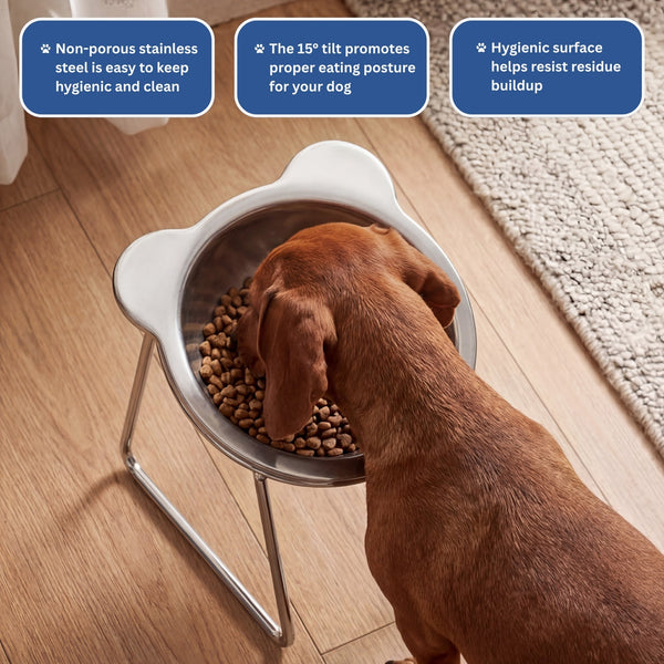 PupComfort™ Raised Feeding Bowl for Healthier Mealtimes