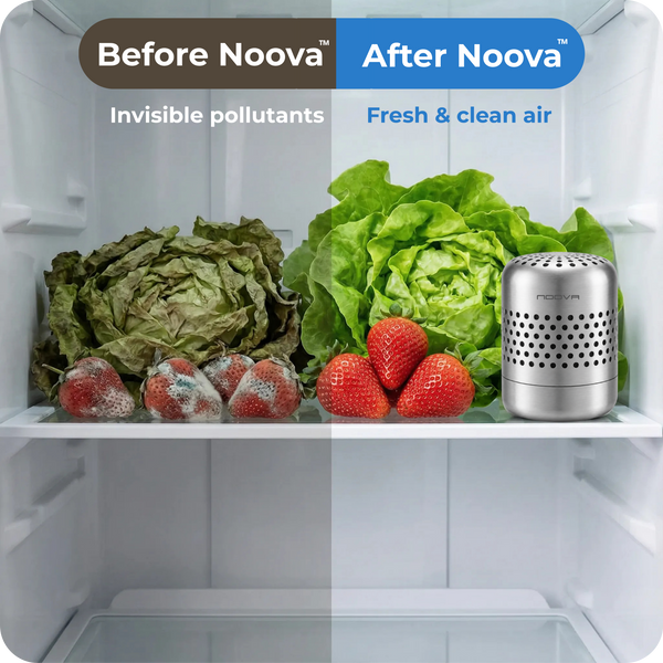 PureChill™ – Air Purifier for Refrigerator & Fresh Food Storage
