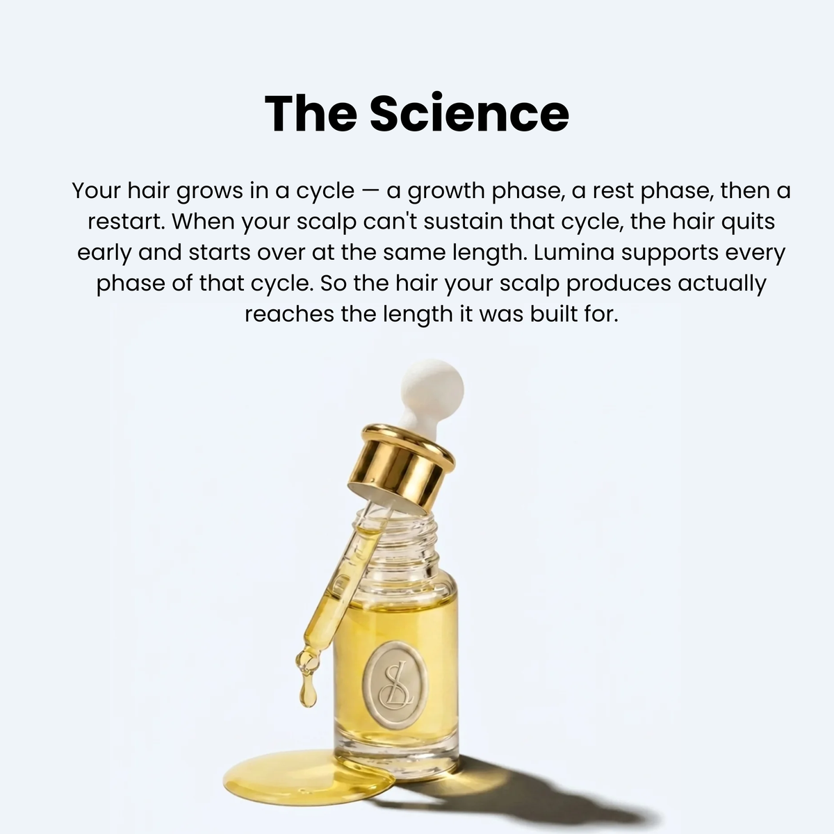 RootVera™ – Botanical Scalp & Hair Treatment Oil