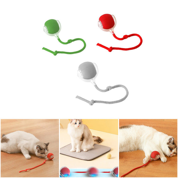 Pet Rolling Ball