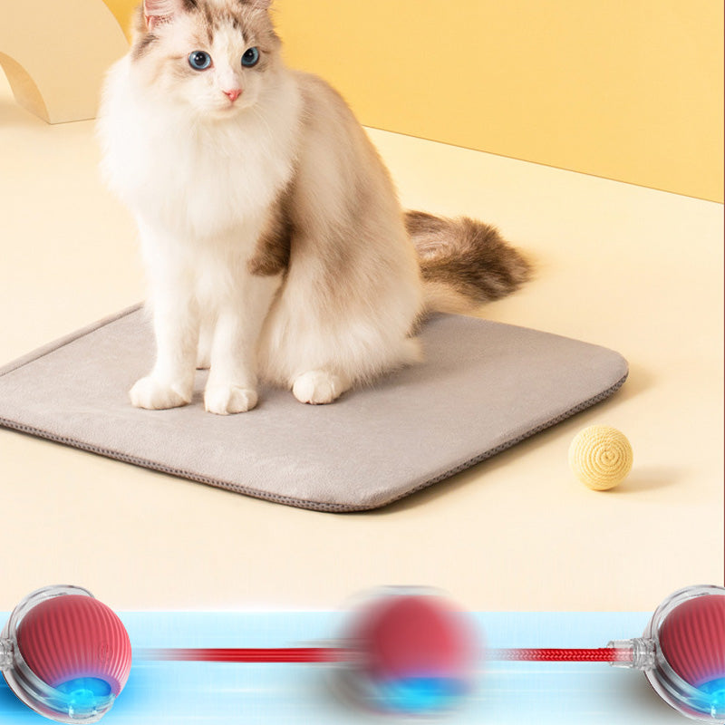 Pet Rolling Ball
