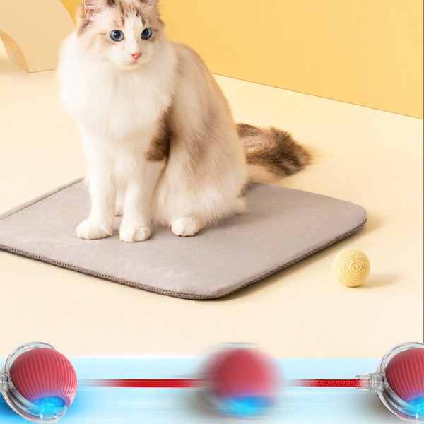 Pet Rolling Ball