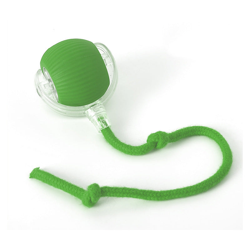Pet Rolling Ball