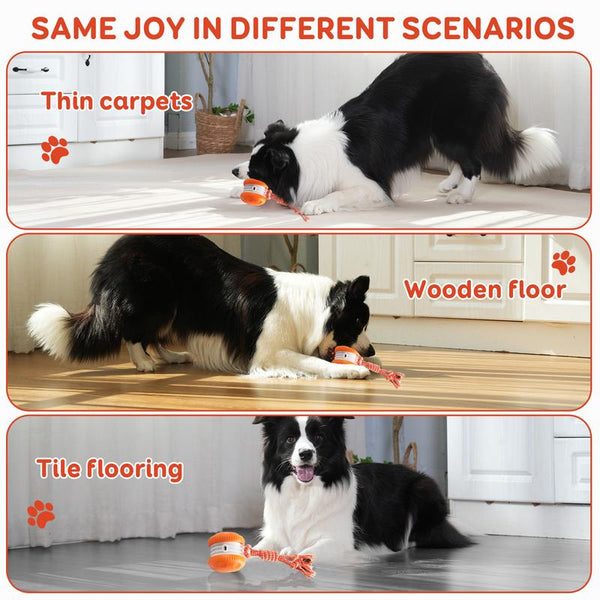TailChase™ Smart Dog Ball Keeps Dogs Entertained Longer