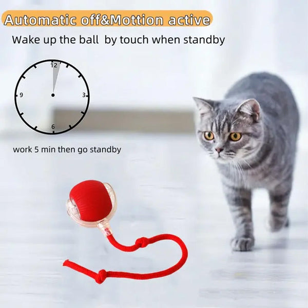 Pet Rolling Ball