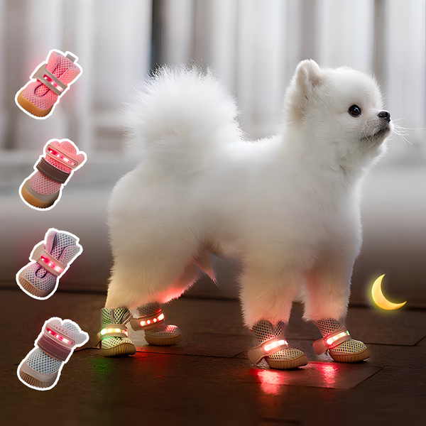 LED Dog Boots™ — Fearless Paw Protection that Lights Every Adventure