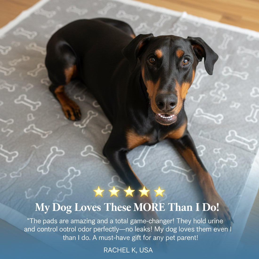 PawDry™ Pad | Cleanliness Without Training