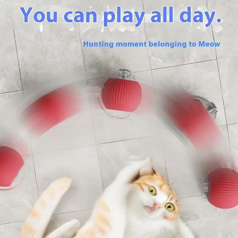 Pet Rolling Ball