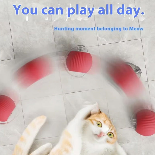 Pet Rolling Ball