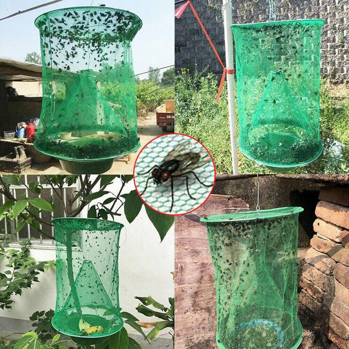 TrapSavage — Erase Every Annoying Fly and Enjoy True Peace Instantly