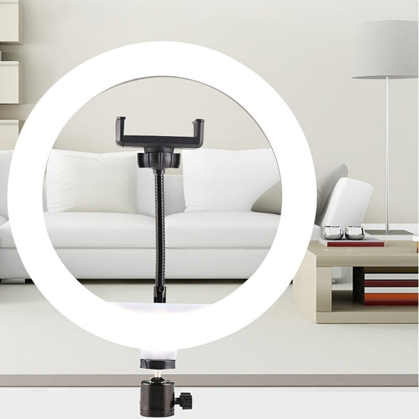 10-Inch LED Ring Light with Adjustable Tripod and Phone Holder - Ideal for Makeup, Photography, and Vlogging