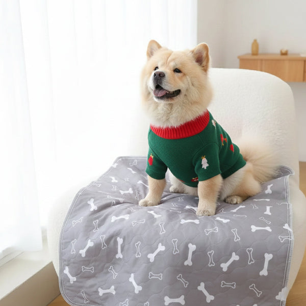 PawDry™ Pad | Cleanliness Without Training