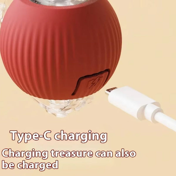 Pet Rolling Ball
