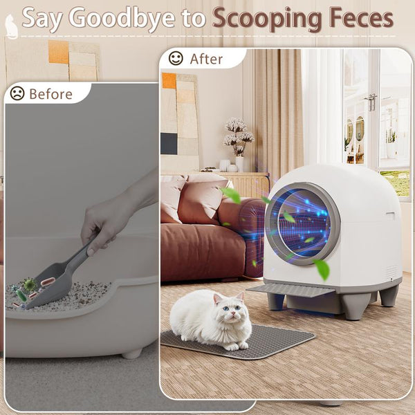 Self-Cleaning Litter Box