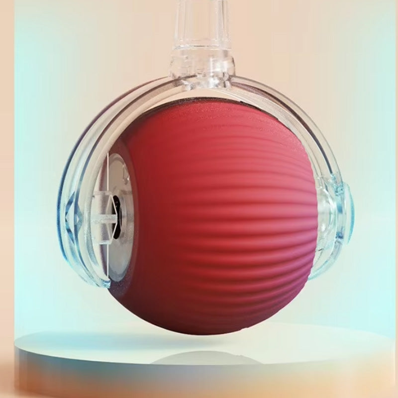 Pet Rolling Ball