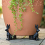 PotElevate™ Plant Pot Feet (set of 3)
