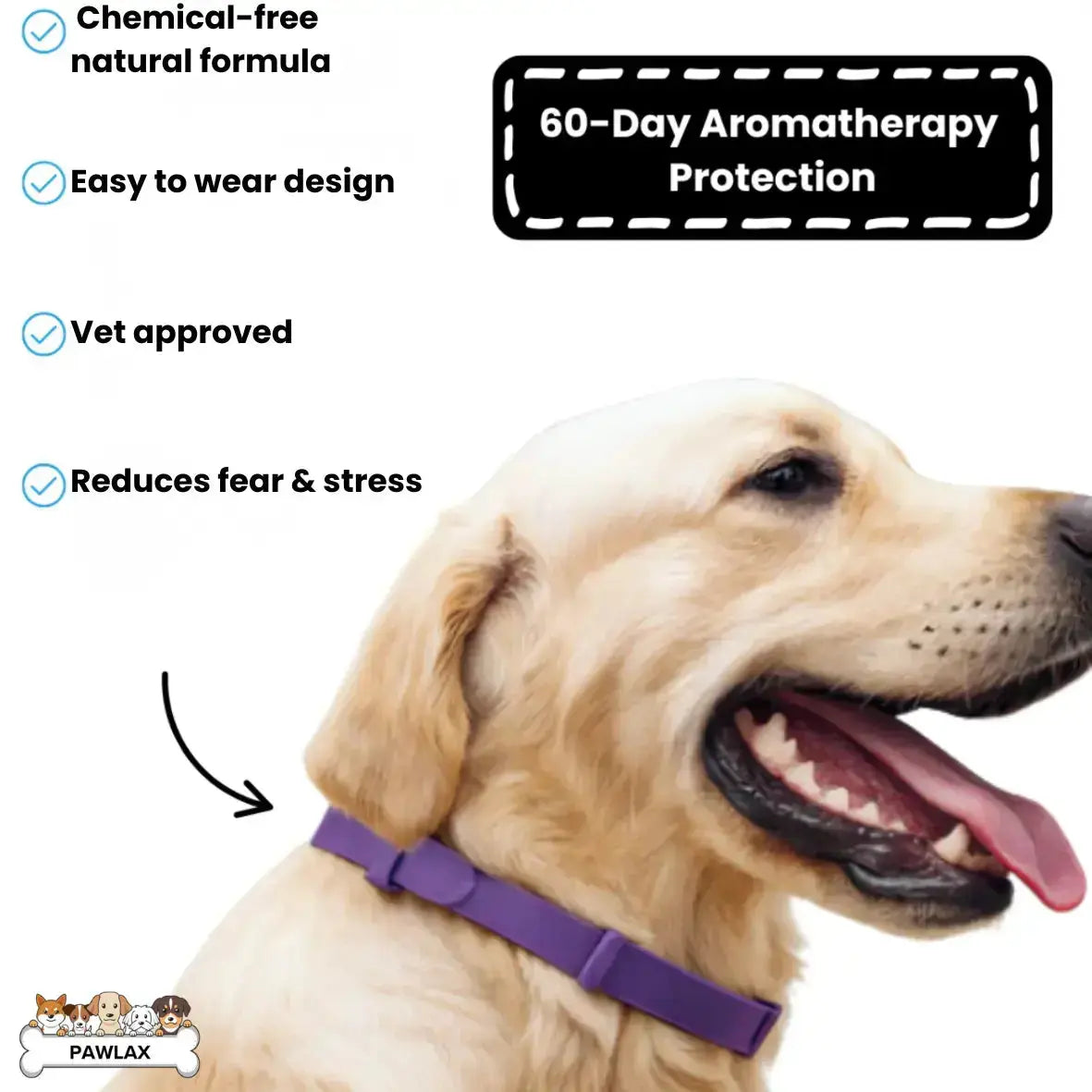 CalmPaw™ – Comfortable dog collar for relaxed walks