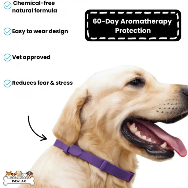 CalmPaw™ – Comfortable dog collar for relaxed walks