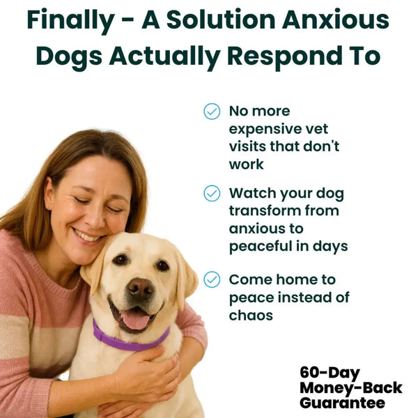 CalmPaw™ – Comfortable dog collar for relaxed walks