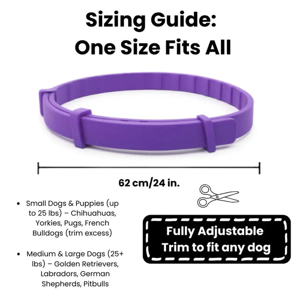 CalmPaw™ – Comfortable dog collar for relaxed walks