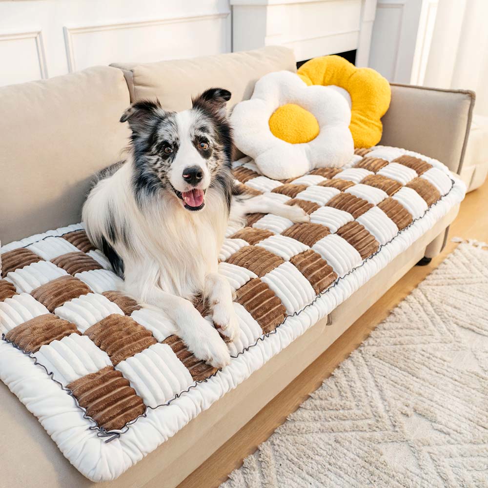 PetGuard™ – Quilted Scratch-Resistant Sofa Cover