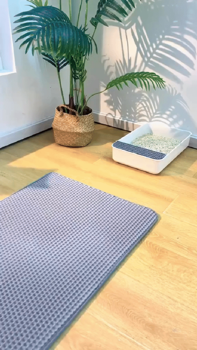 Cat Litter Mat - Grey