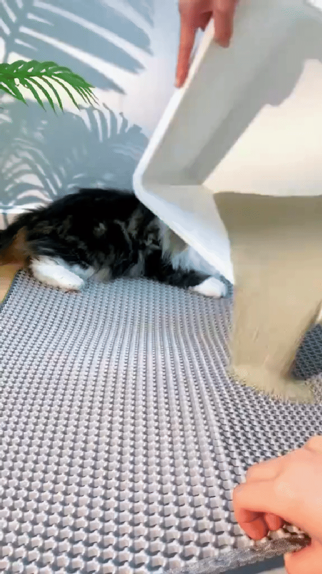 Cat Litter Mat - Grey