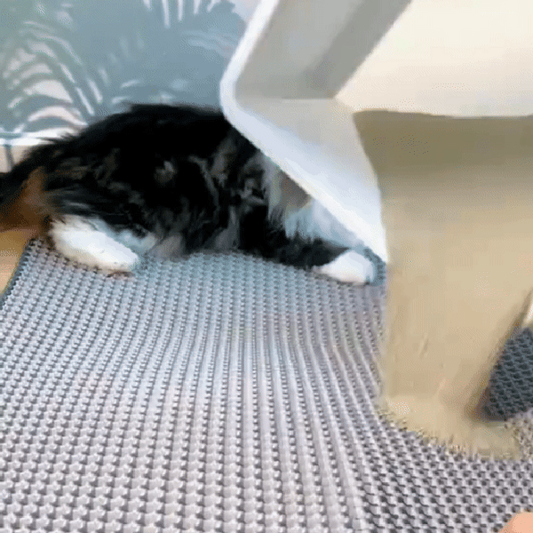 Cat Litter Mat - Grey