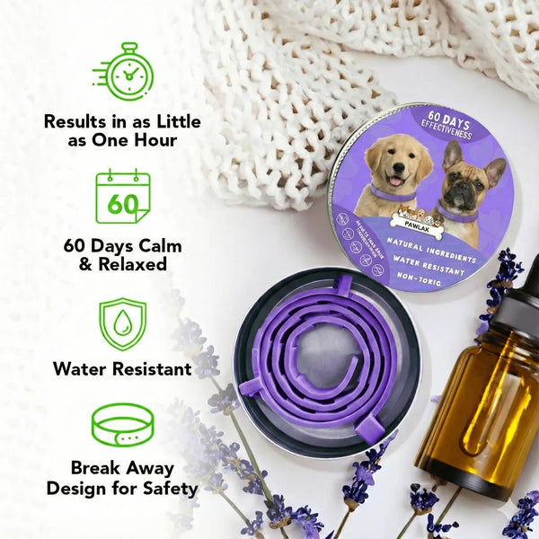 CalmPaw™ – Comfortable dog collar for relaxed walks