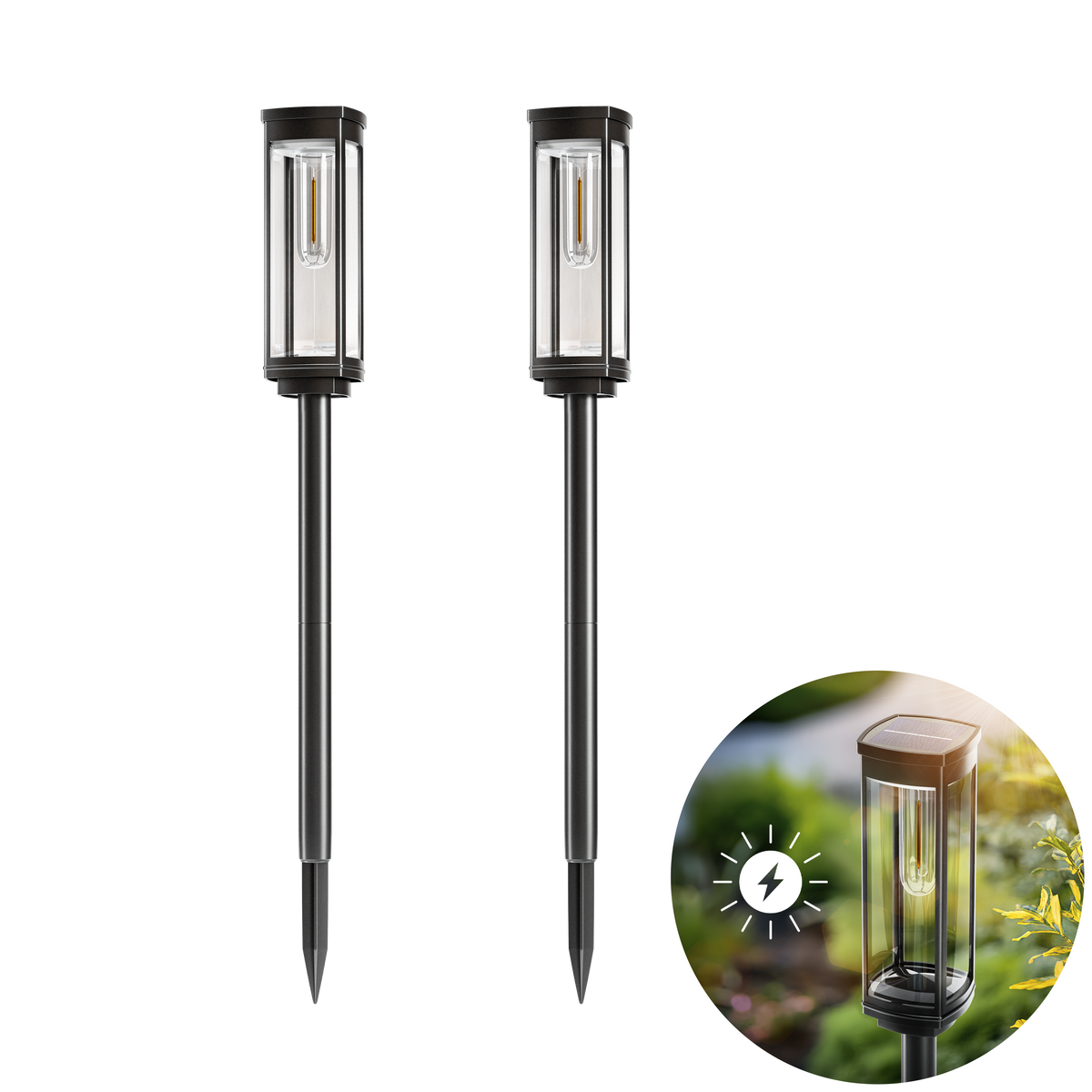 SOLEA Pathway Lights Illuminate Gardens with Elegant Style