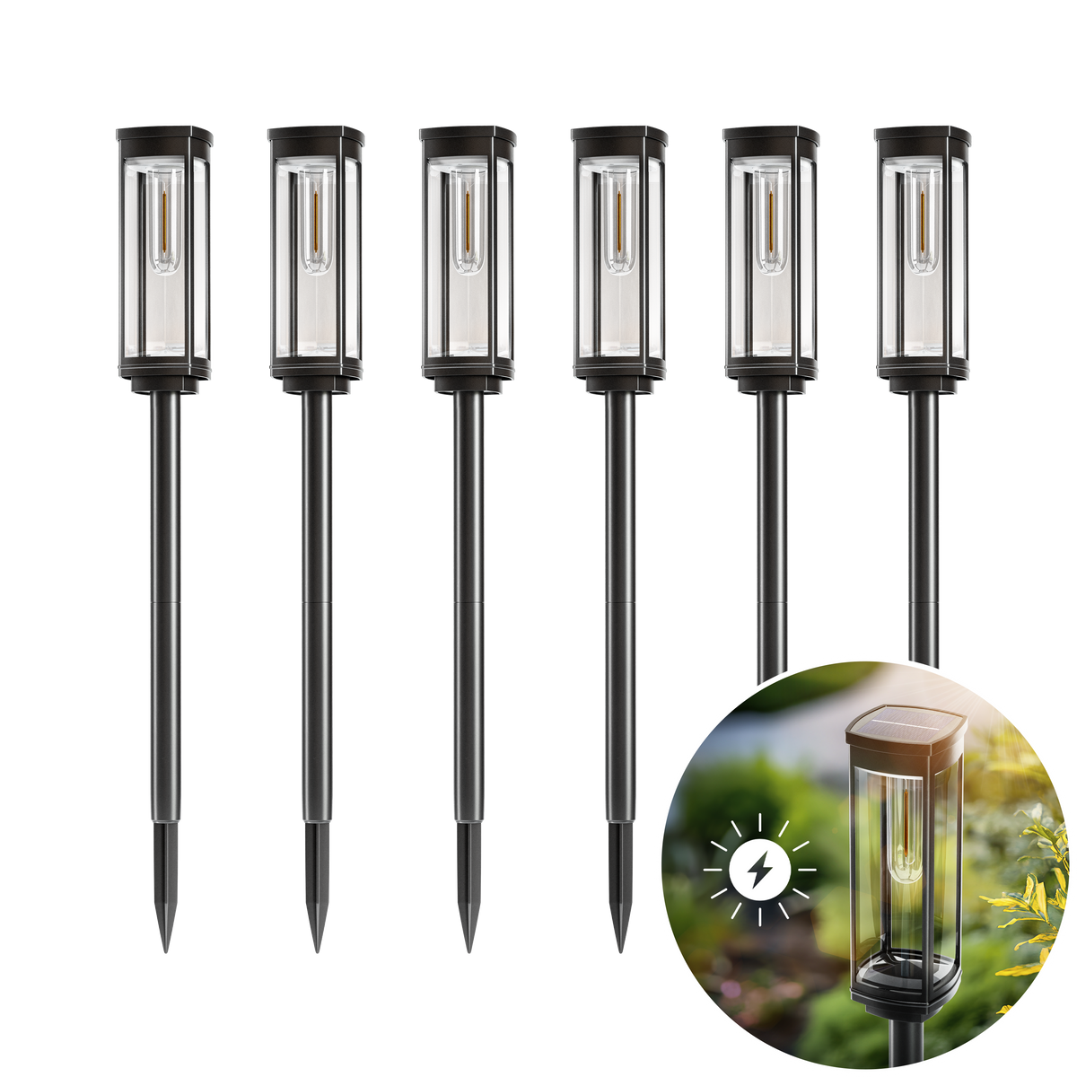 SOLEA Pathway Lights Illuminate Gardens with Elegant Style