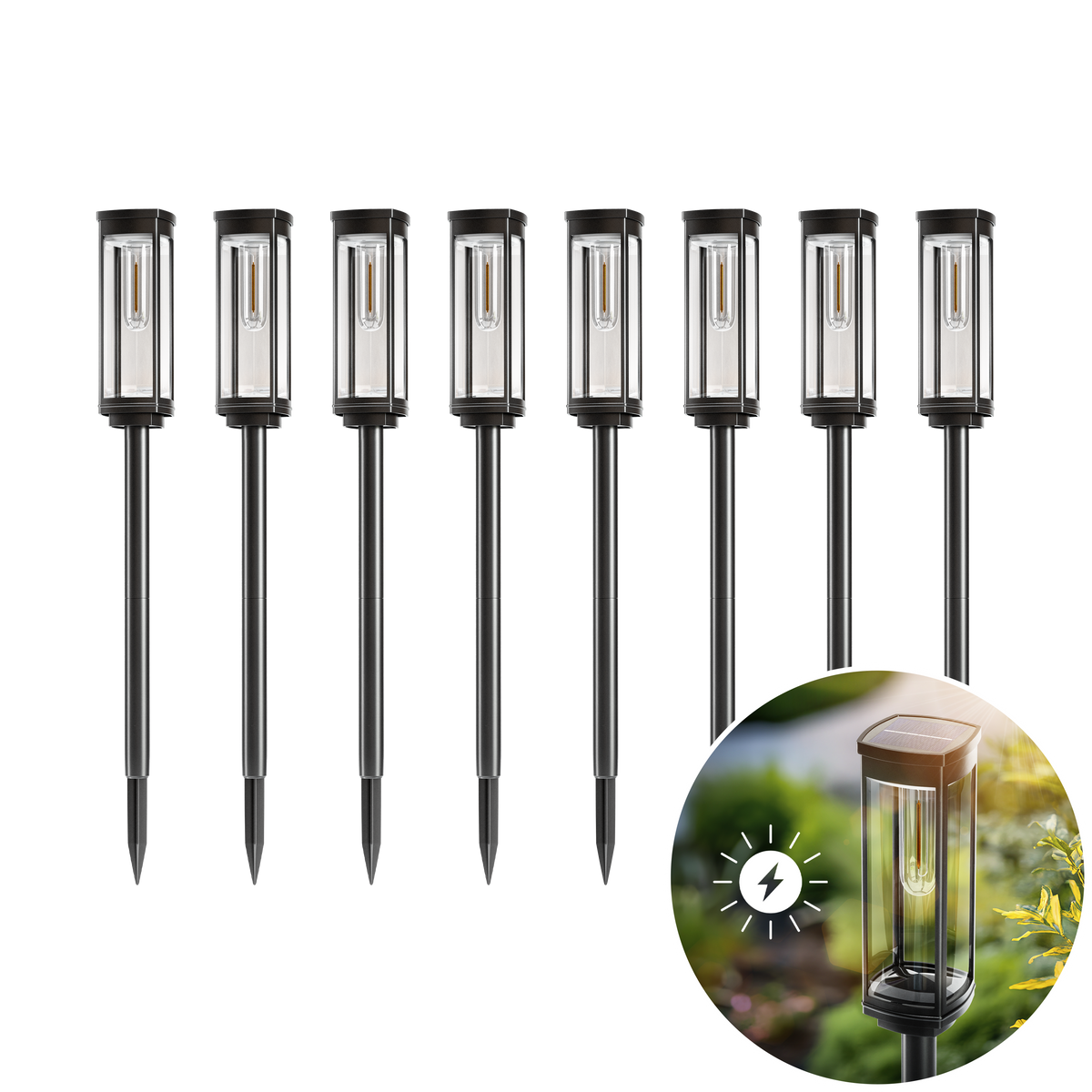 SOLEA Pathway Lights Illuminate Gardens with Elegant Style
