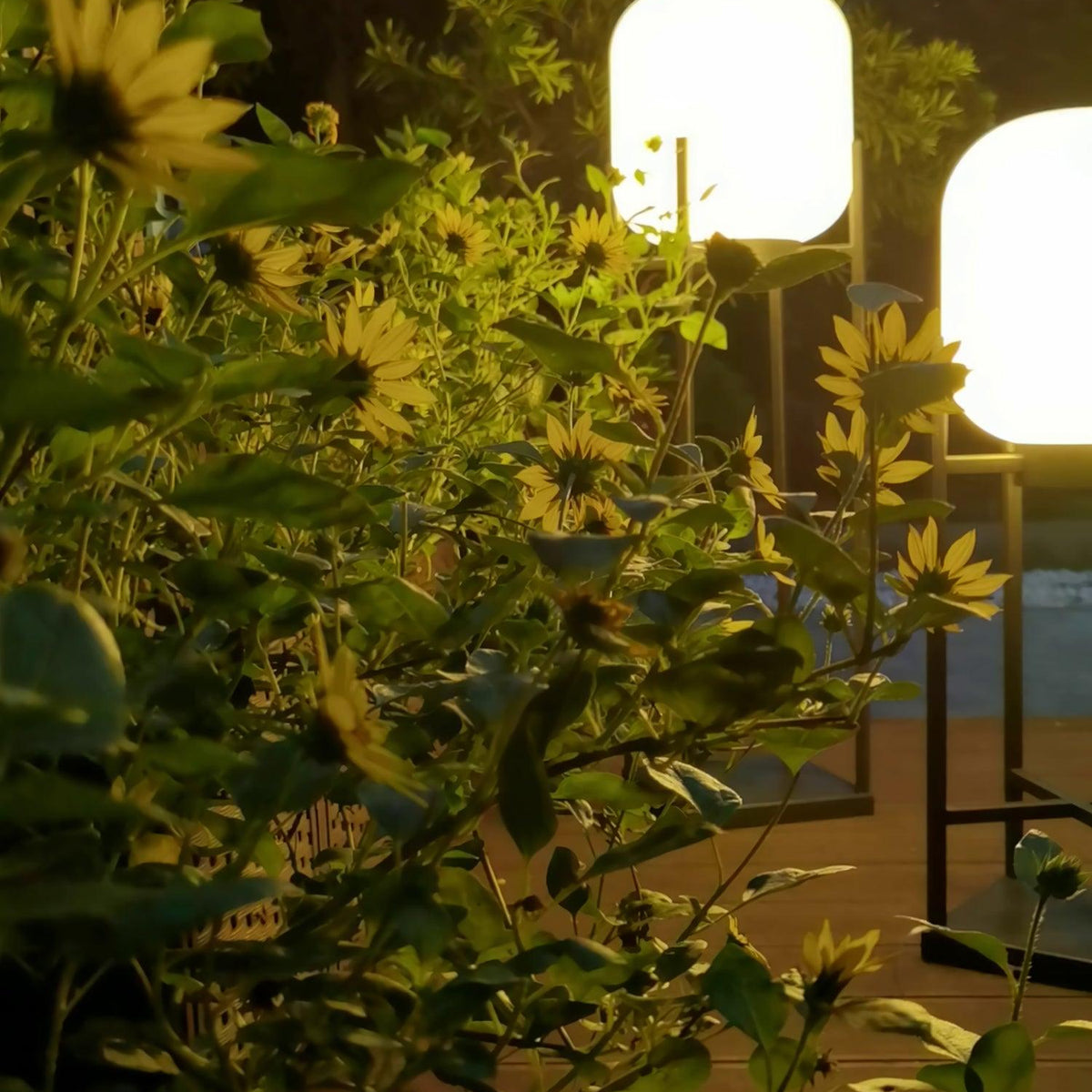 Solar floor lamp lantern for outdoors